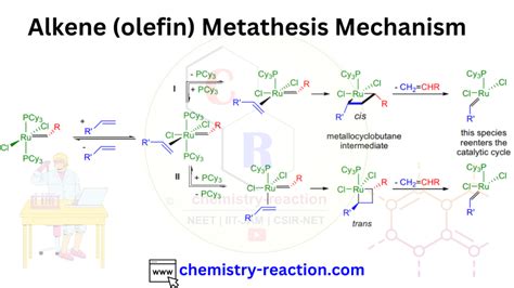 normal alpha olefins|Terminal alkene .
